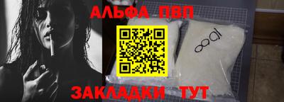 индика Кингисепп