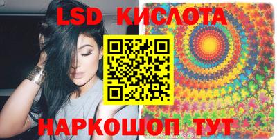 индика Кингисепп