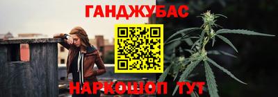 индика Кингисепп