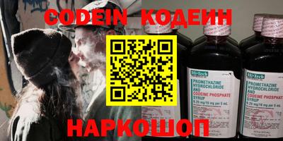 индика Кингисепп