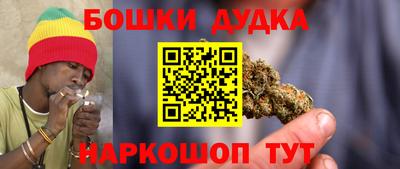 индика Кингисепп