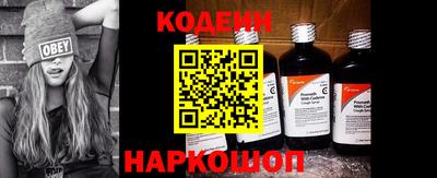 индика Кингисепп