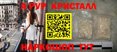 индика Кингисепп