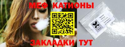 индика Кингисепп