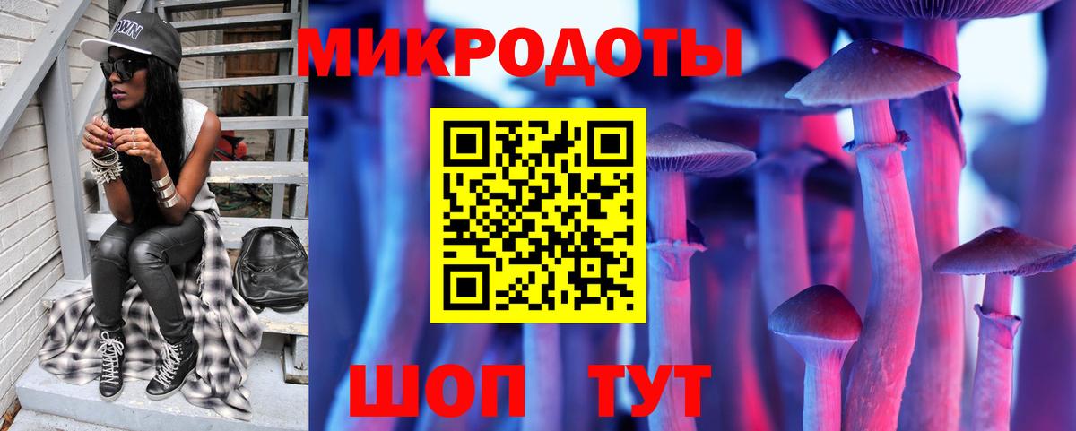 Галлюциногенные грибы GOLDEN TEACHER  Вход с VPN  Заринск 