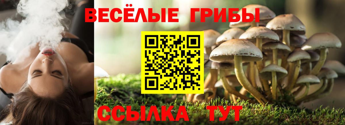 Псилоцибиновые грибы ЛСД Заринск